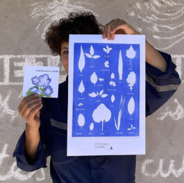  Cianotopia Jardín Resonante Colaboración de Micol Favini y Mauricio Tolosa